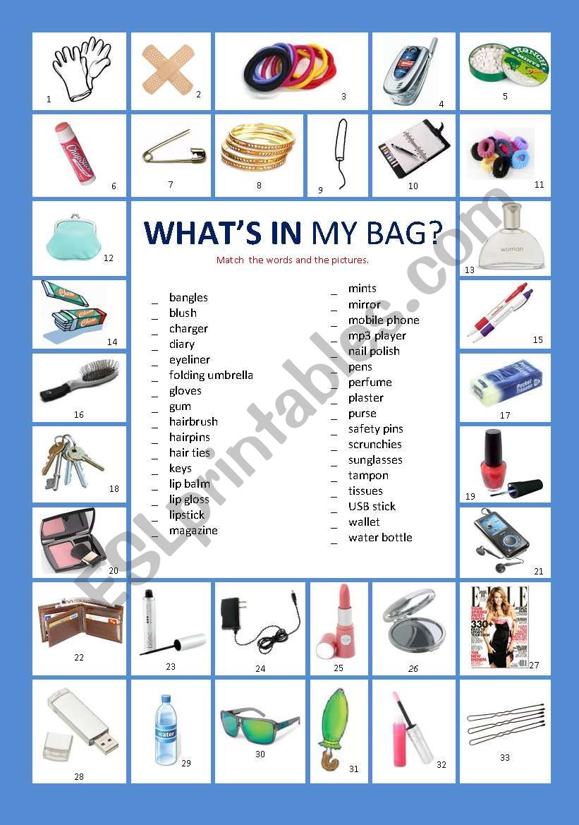 Whats in my bag? worksheet
