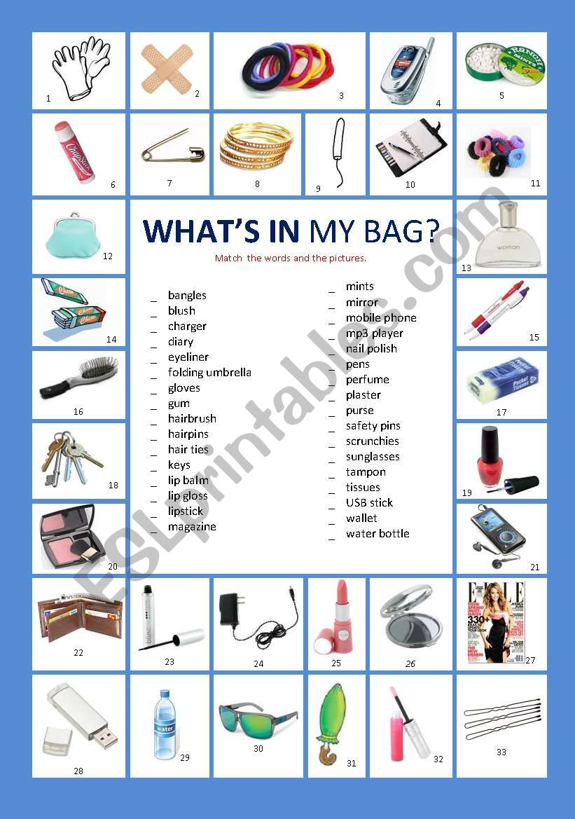 Whats in my bag? worksheet