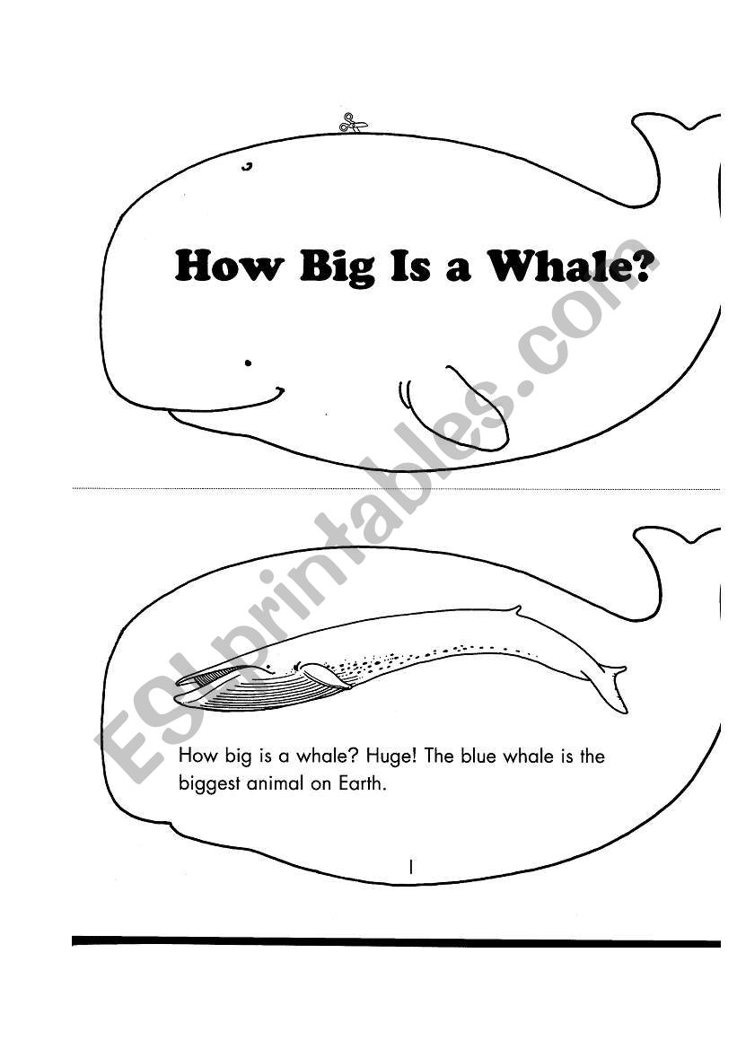 how big is a whale worksheet