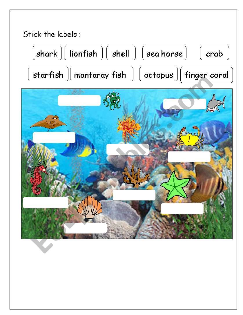 work sheet for sea creatures worksheet
