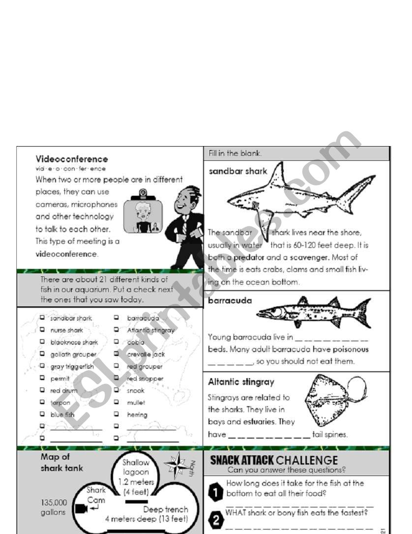 fish worksheet