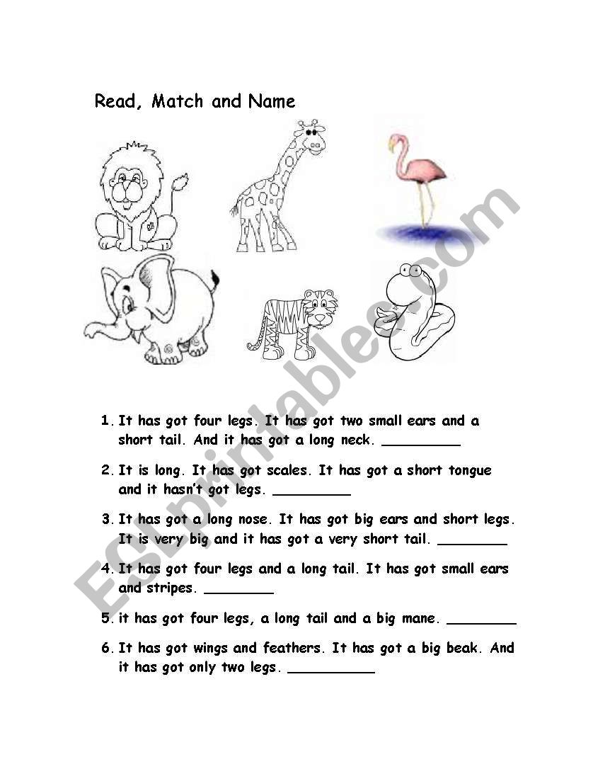 animals worksheet