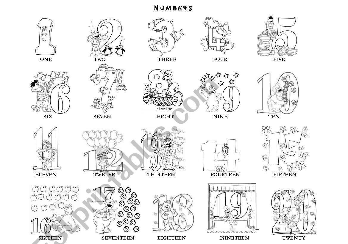 numbers worksheet