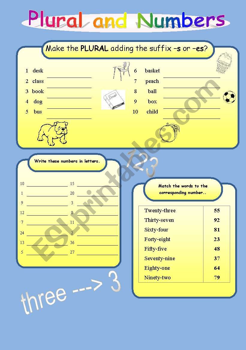 Plural of names and Numbers worksheet