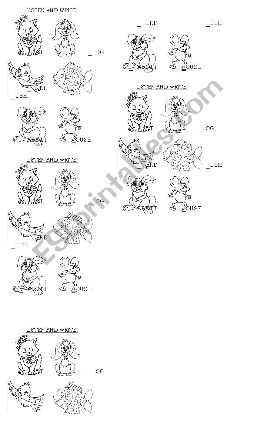 Animals worksheet