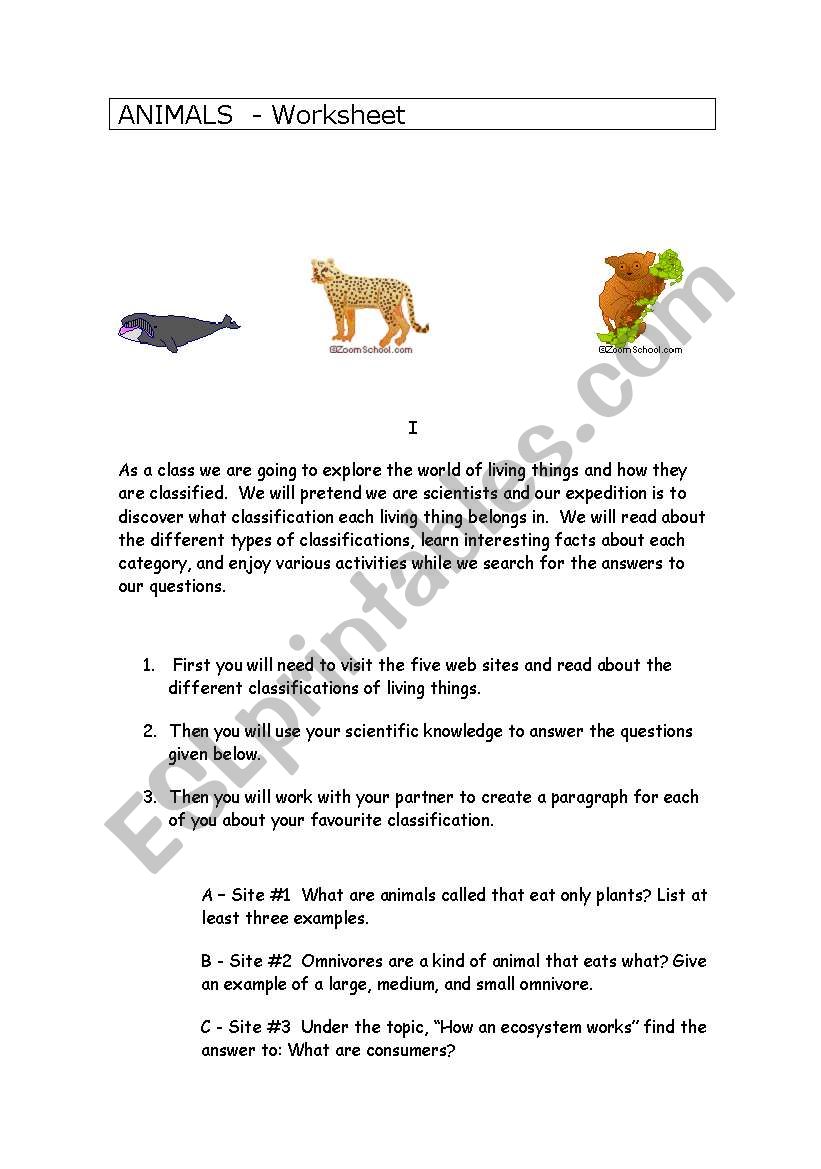 The world of animals worksheet