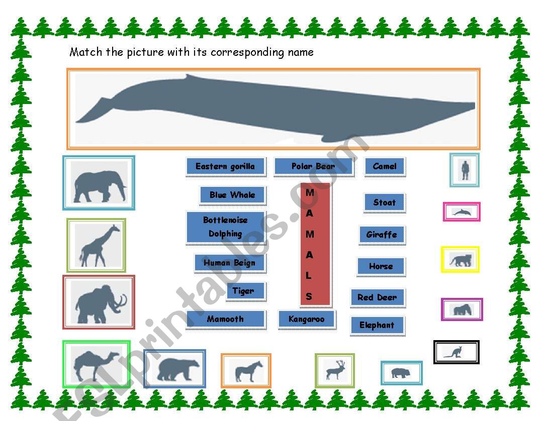 Animals - Mammals worksheet