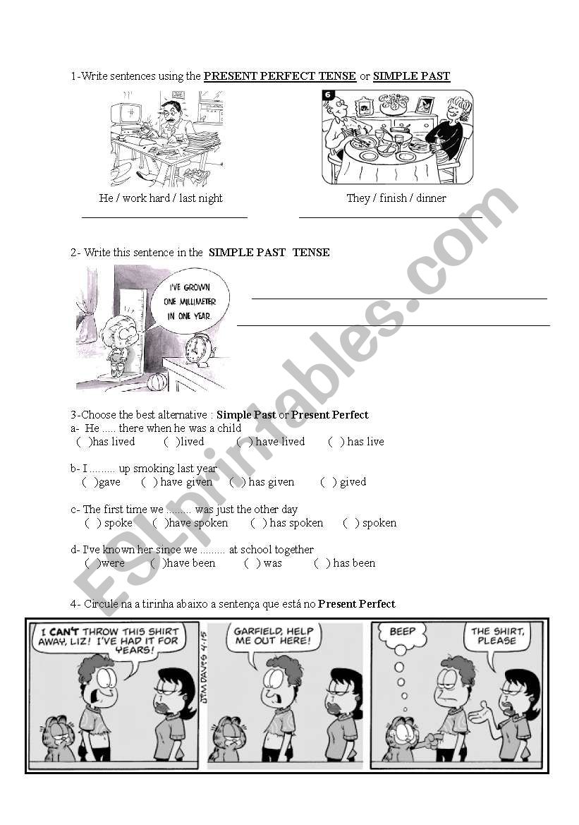 simple past x present perfect worksheet