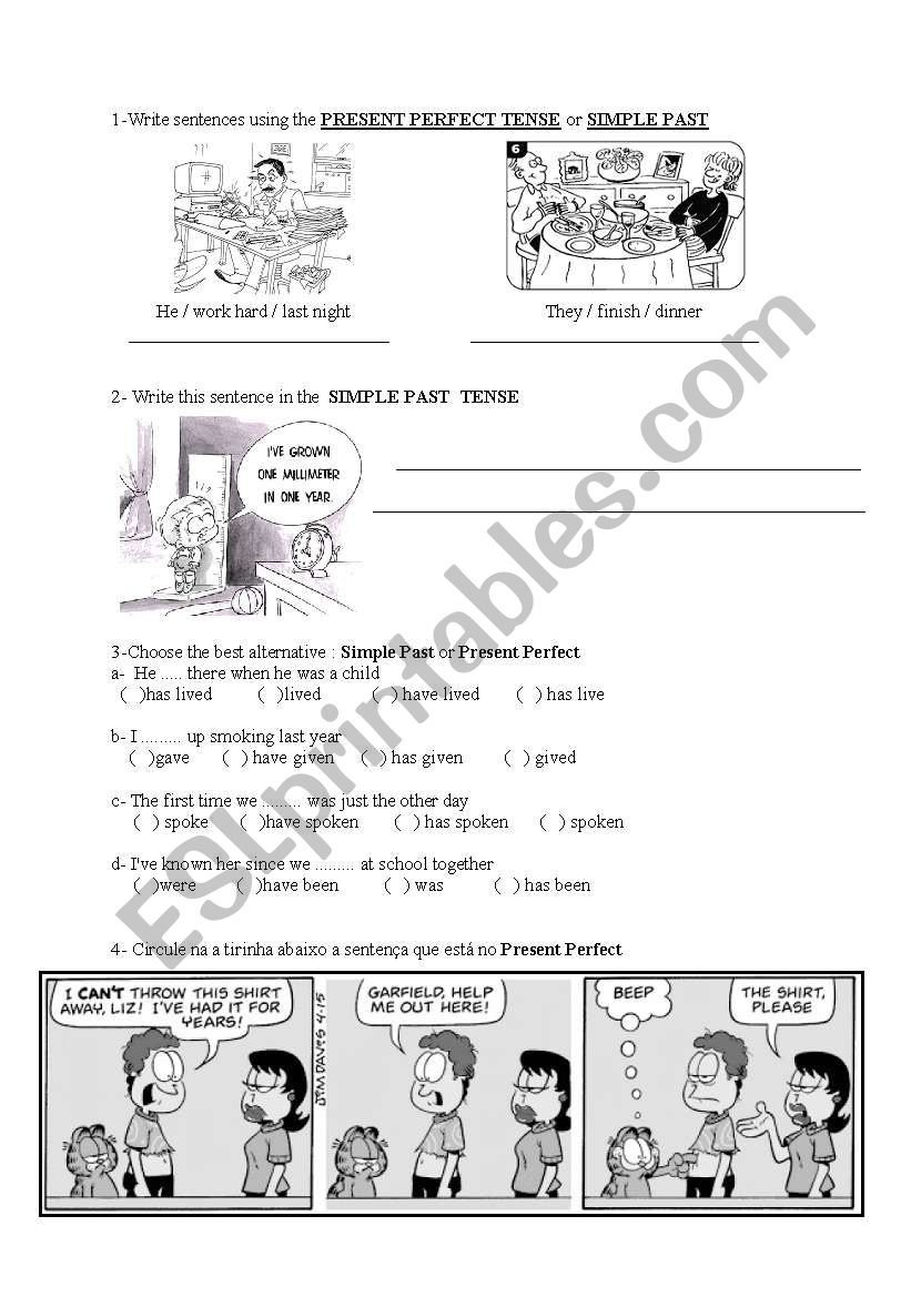 simple past x present perfect worksheet