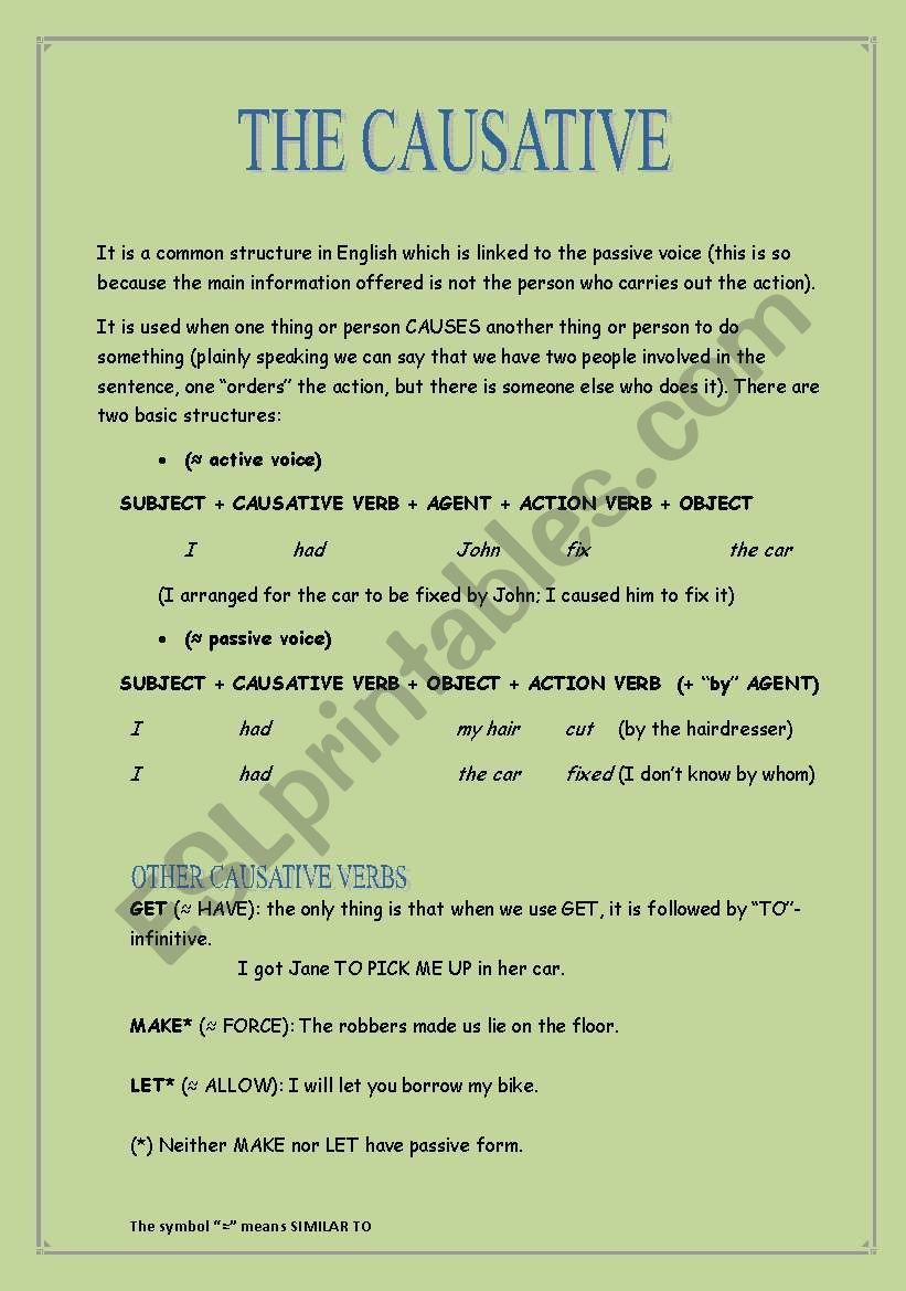 THE CAUSATIVE worksheet