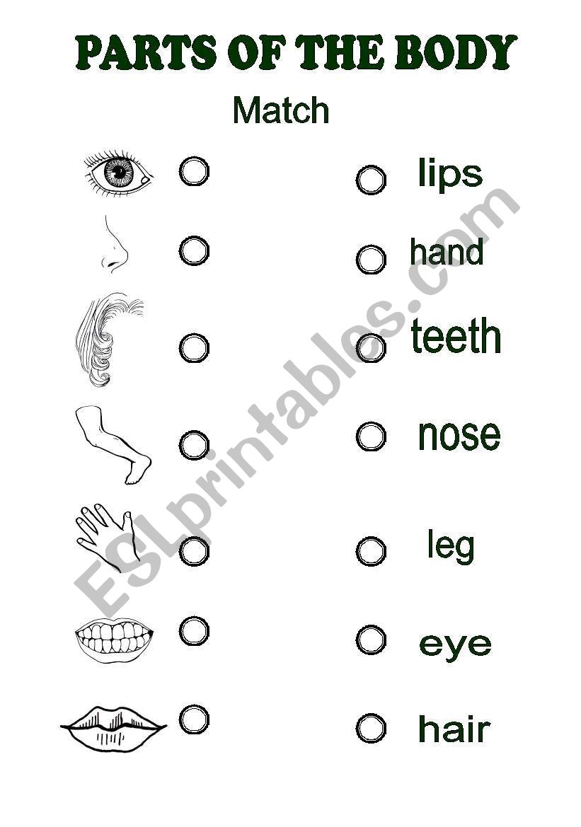 Parts of the body worksheet