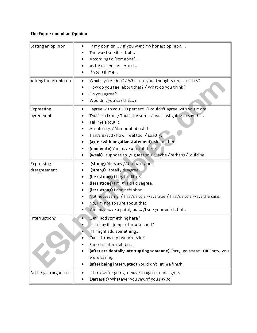 The Language of Opinions worksheet