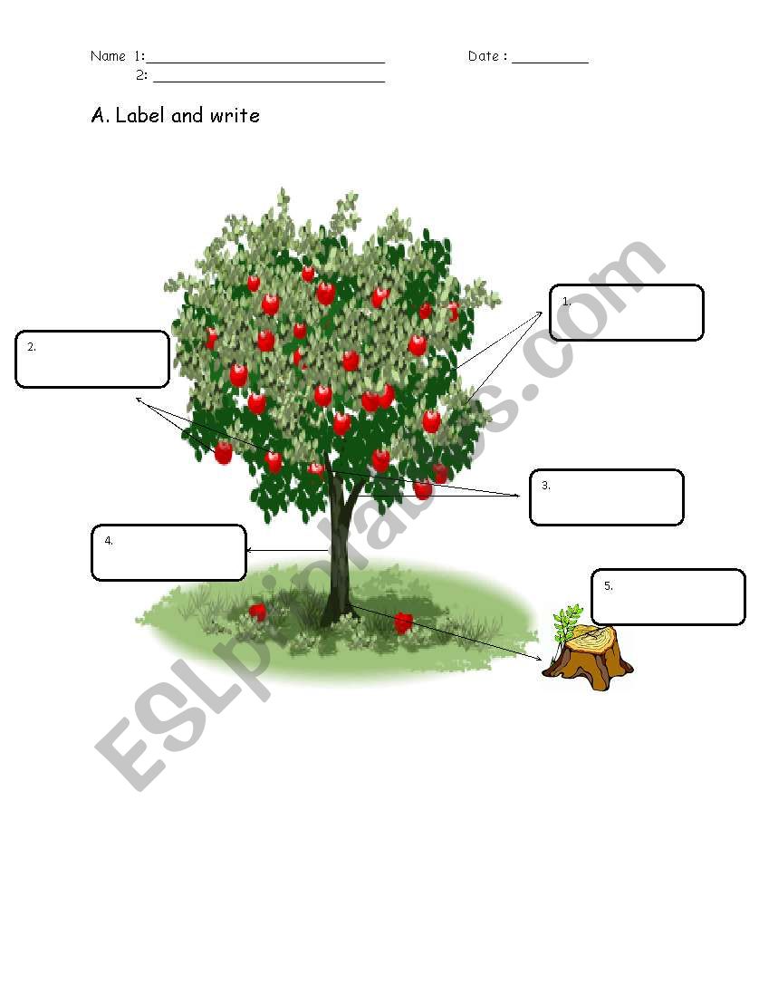 Label the Tree worksheet