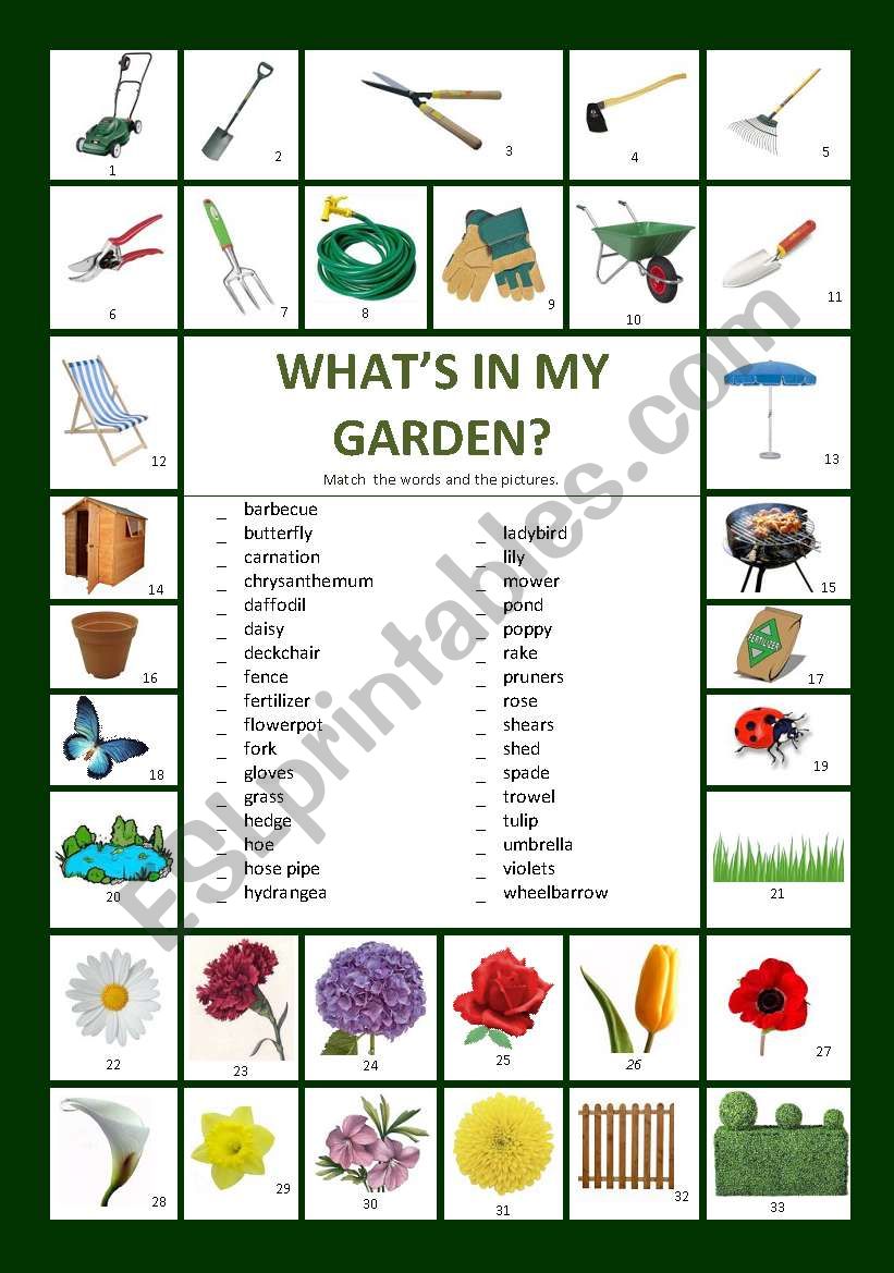 WhatÂ´s in my garden? worksheet