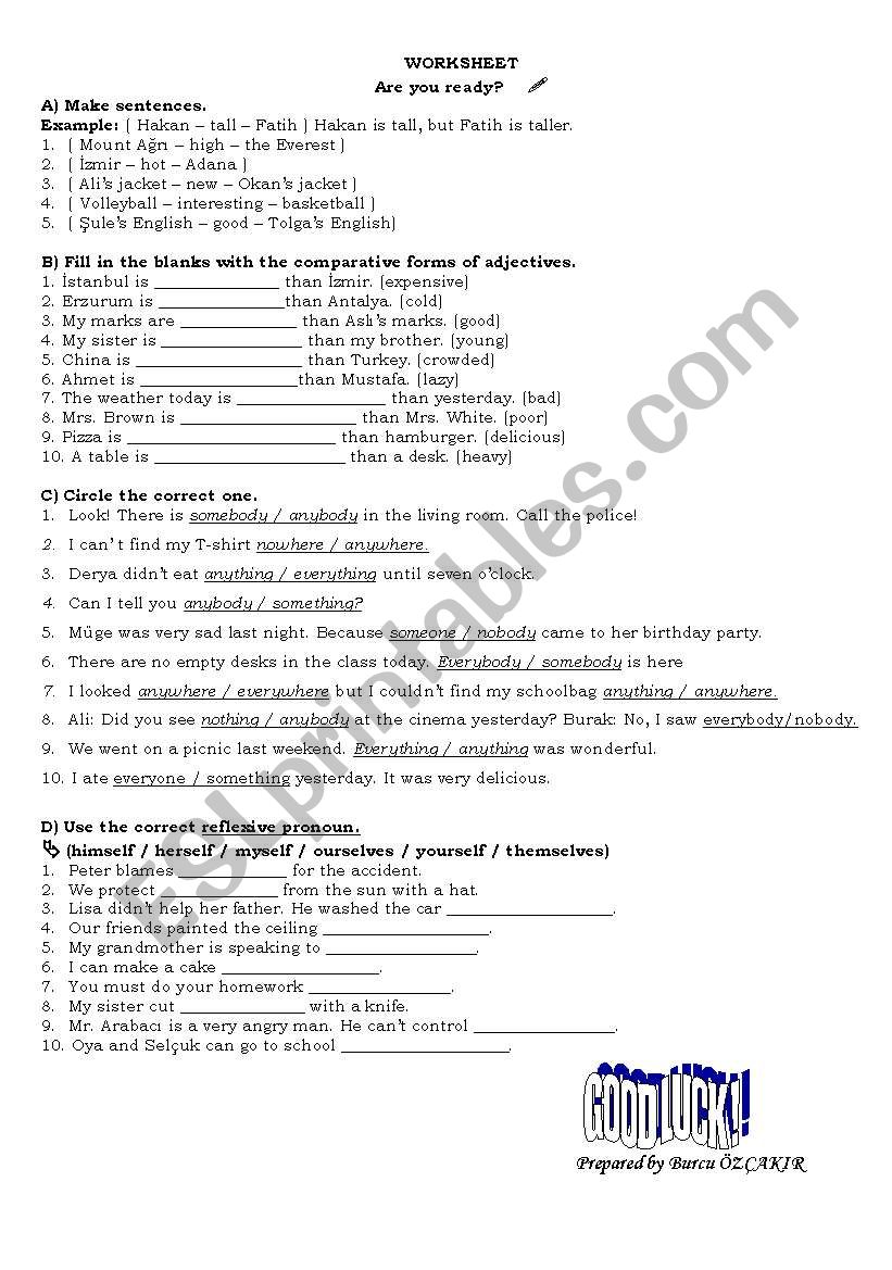 REFLEXIVE PRONOUNS  worksheet