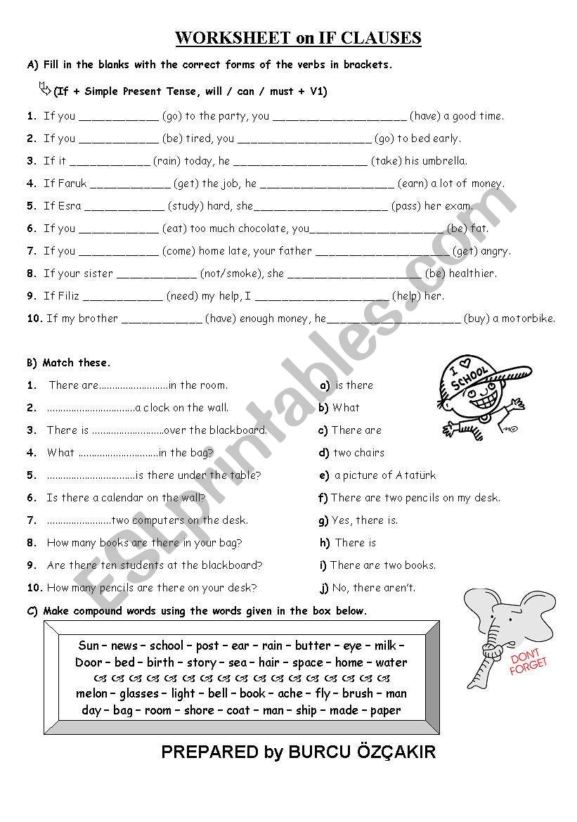 CONDITIONALS worksheet