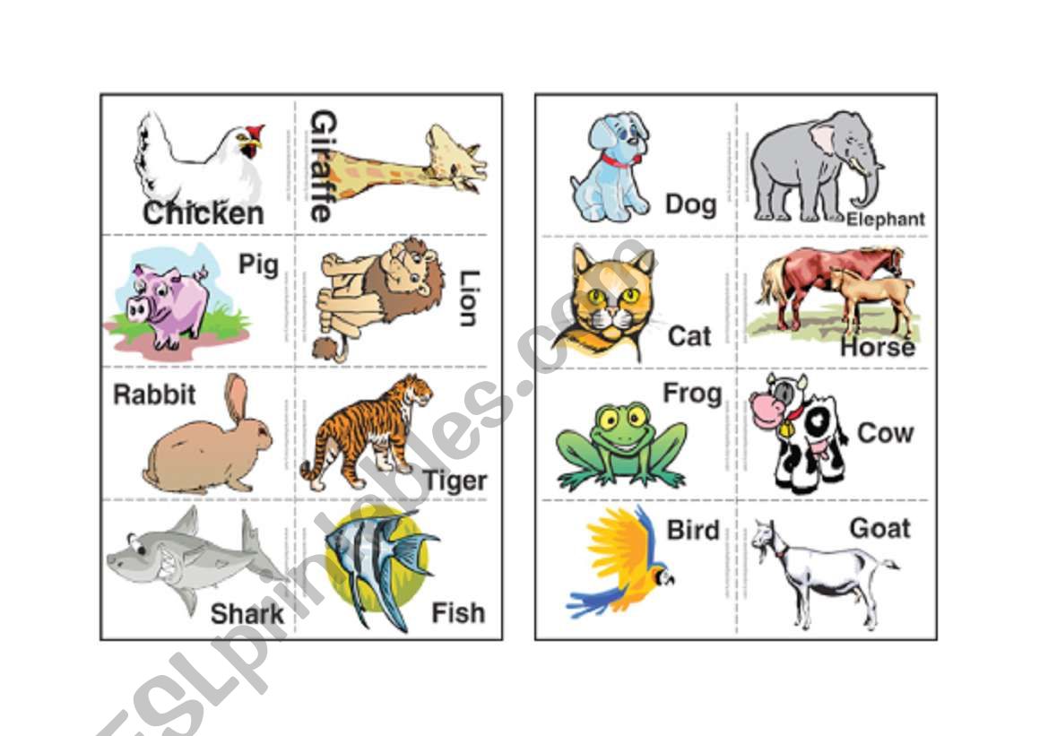 Animals worksheet