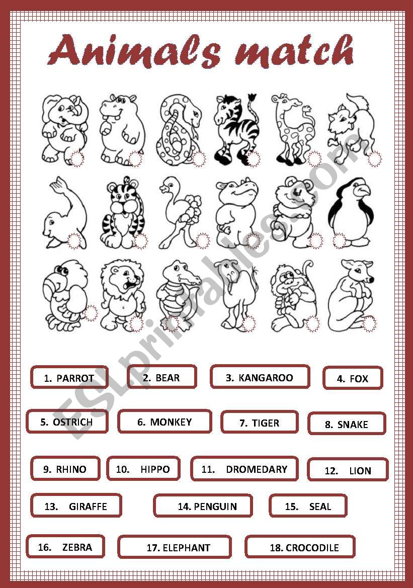 Animals worksheet