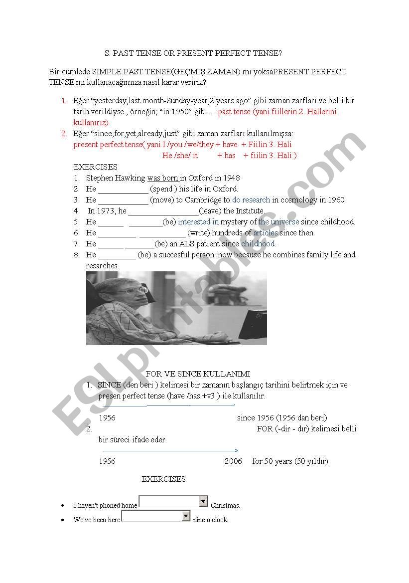 simple past or perfect tense worksheet