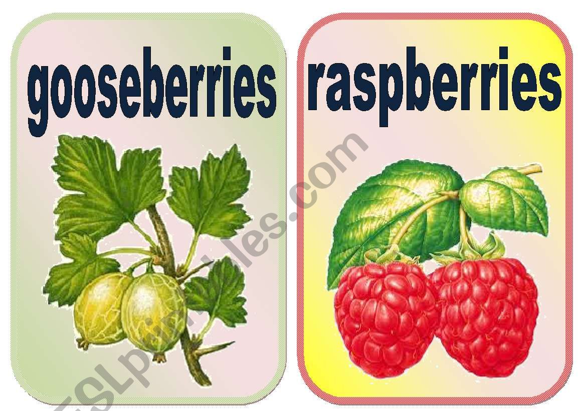 Fruits flashcards set2 worksheet