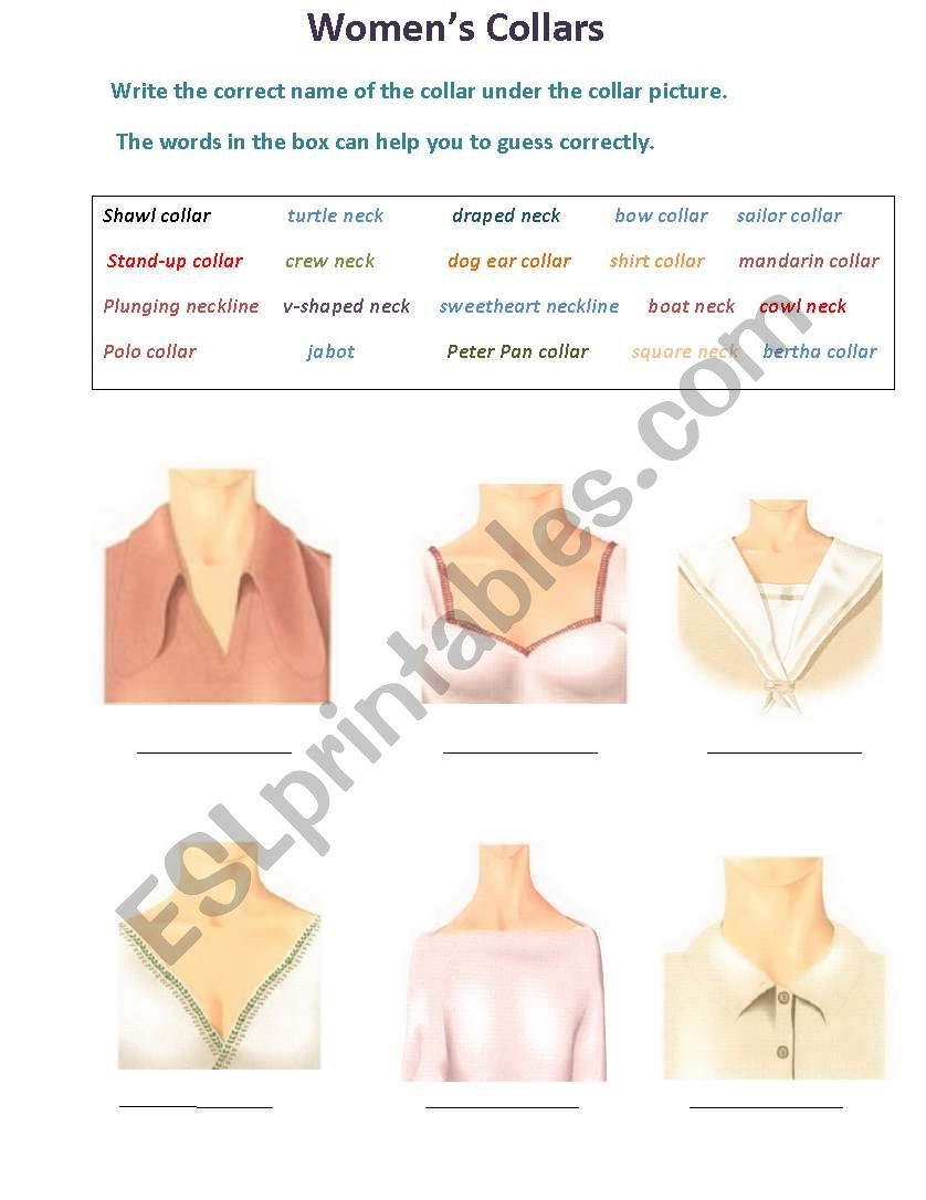 Womens Collar worksheet