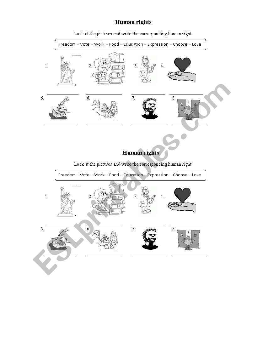 Human rights worksheet