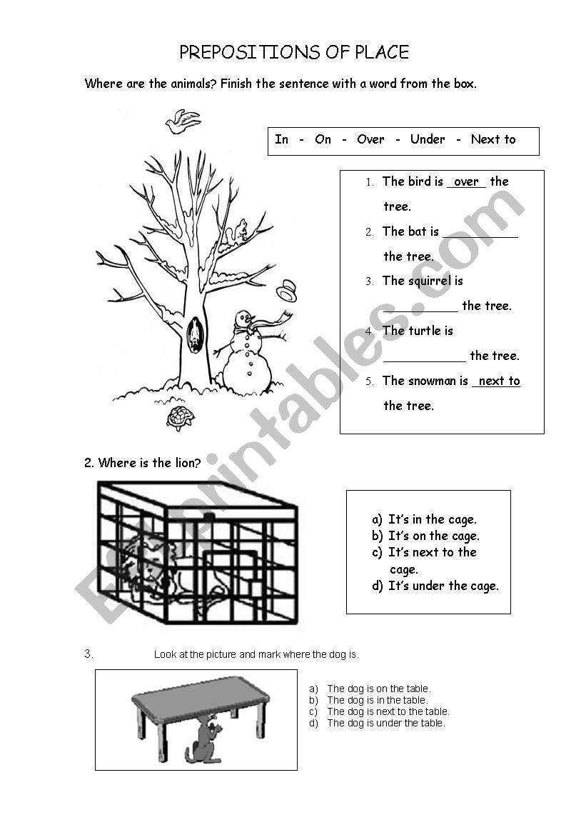 Prepositions of Place worksheet