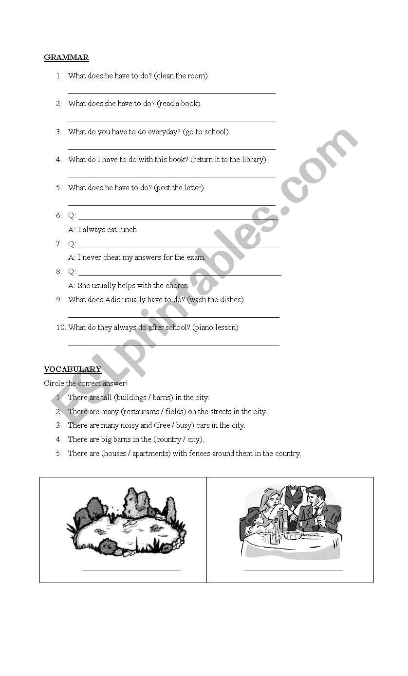 English quiz 3rd grade worksheet