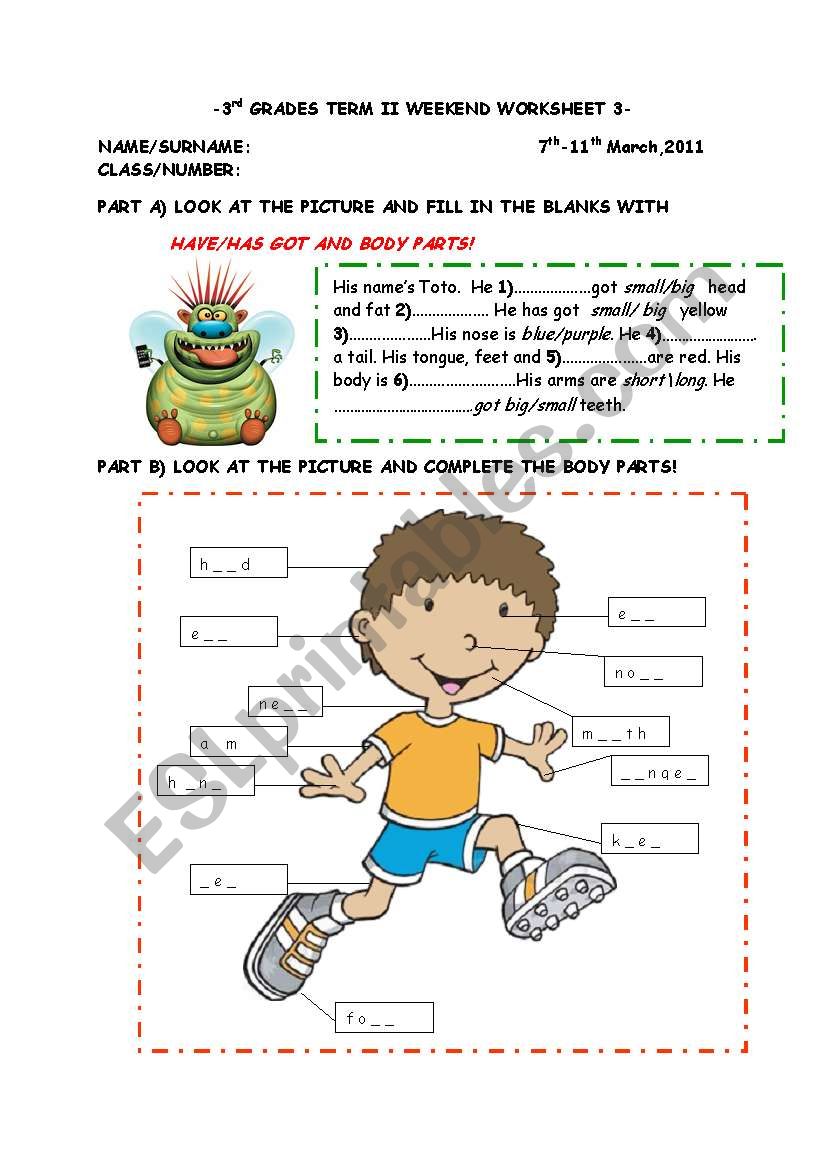 body parts worksheet worksheet