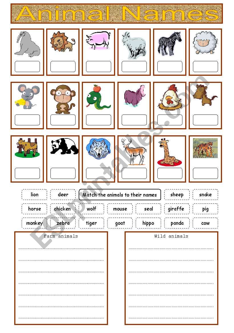 Animals worksheet