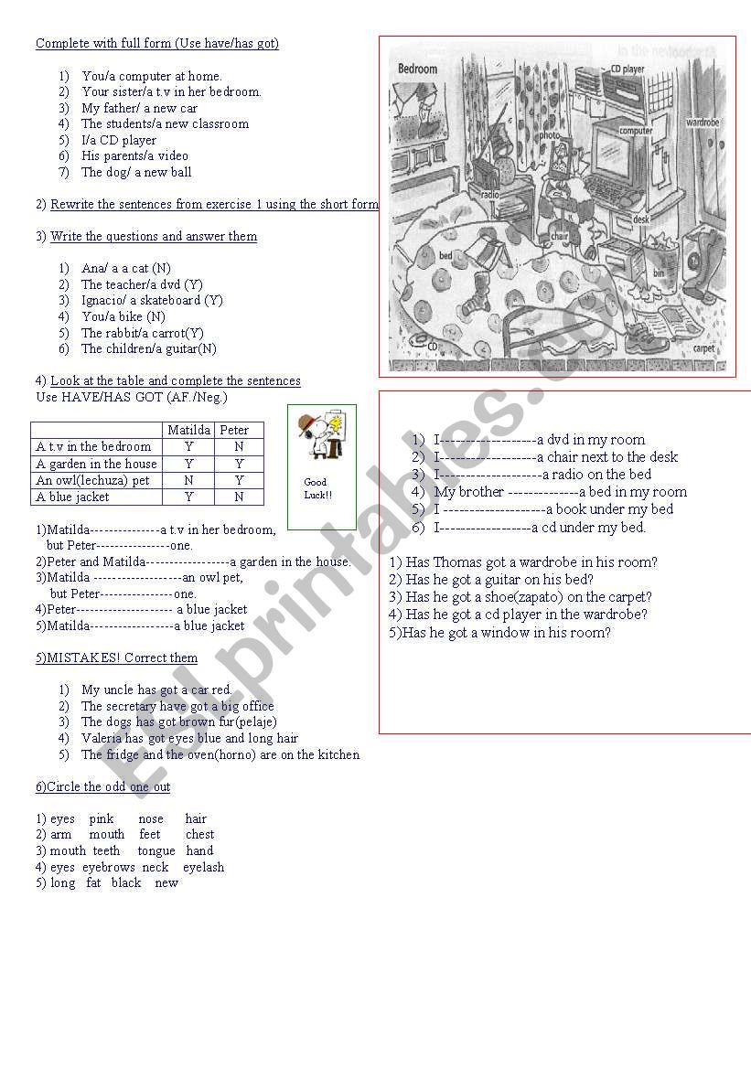 HAVE/HAS GOT worksheet