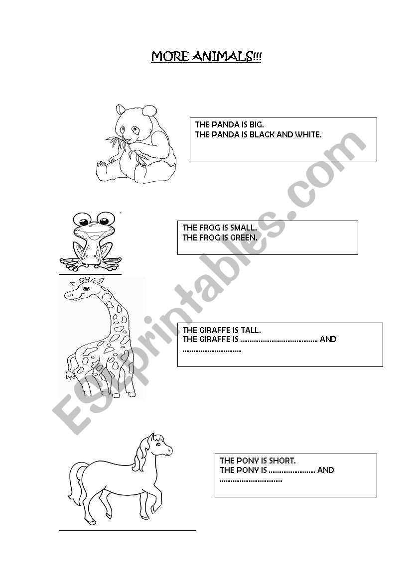 Wild animals worksheet