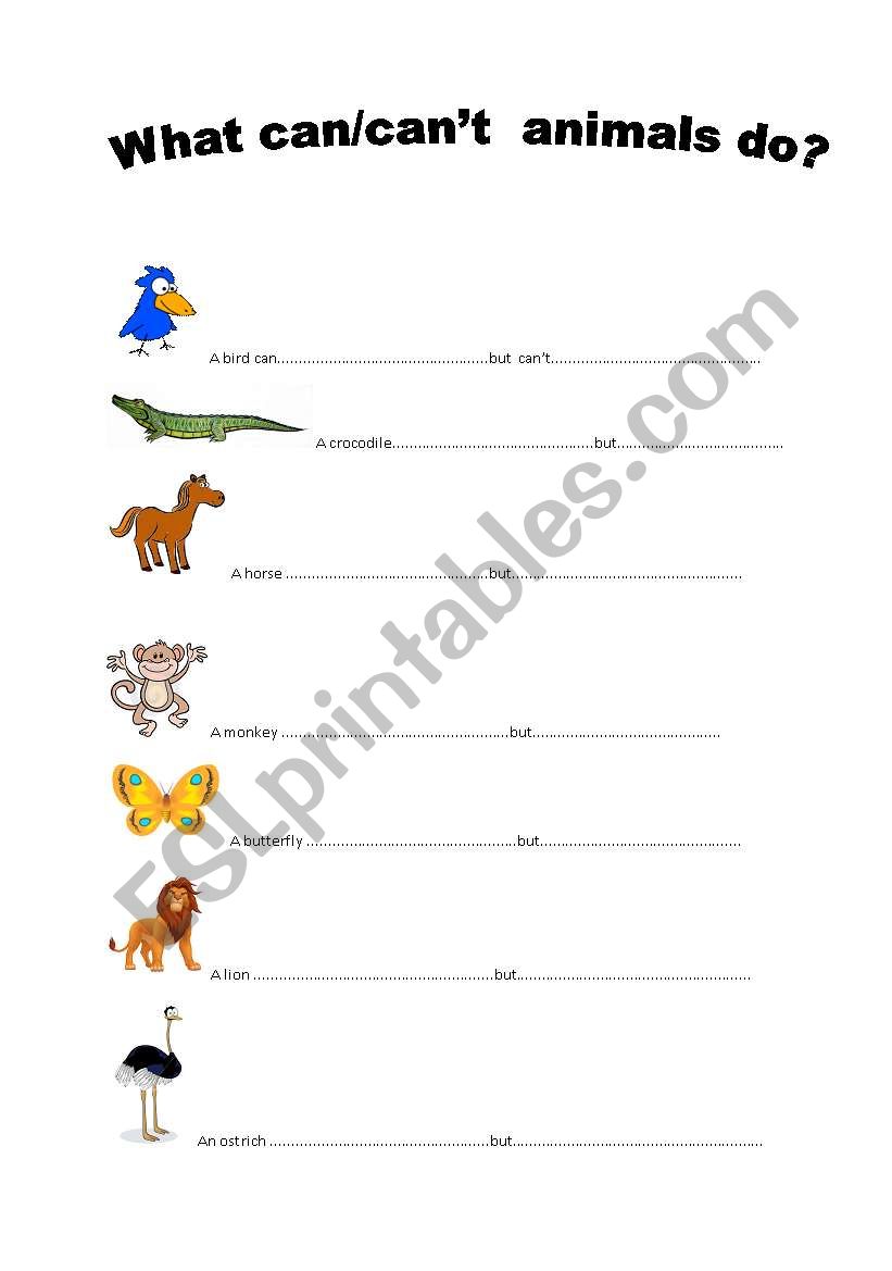 what can animals do? worksheet