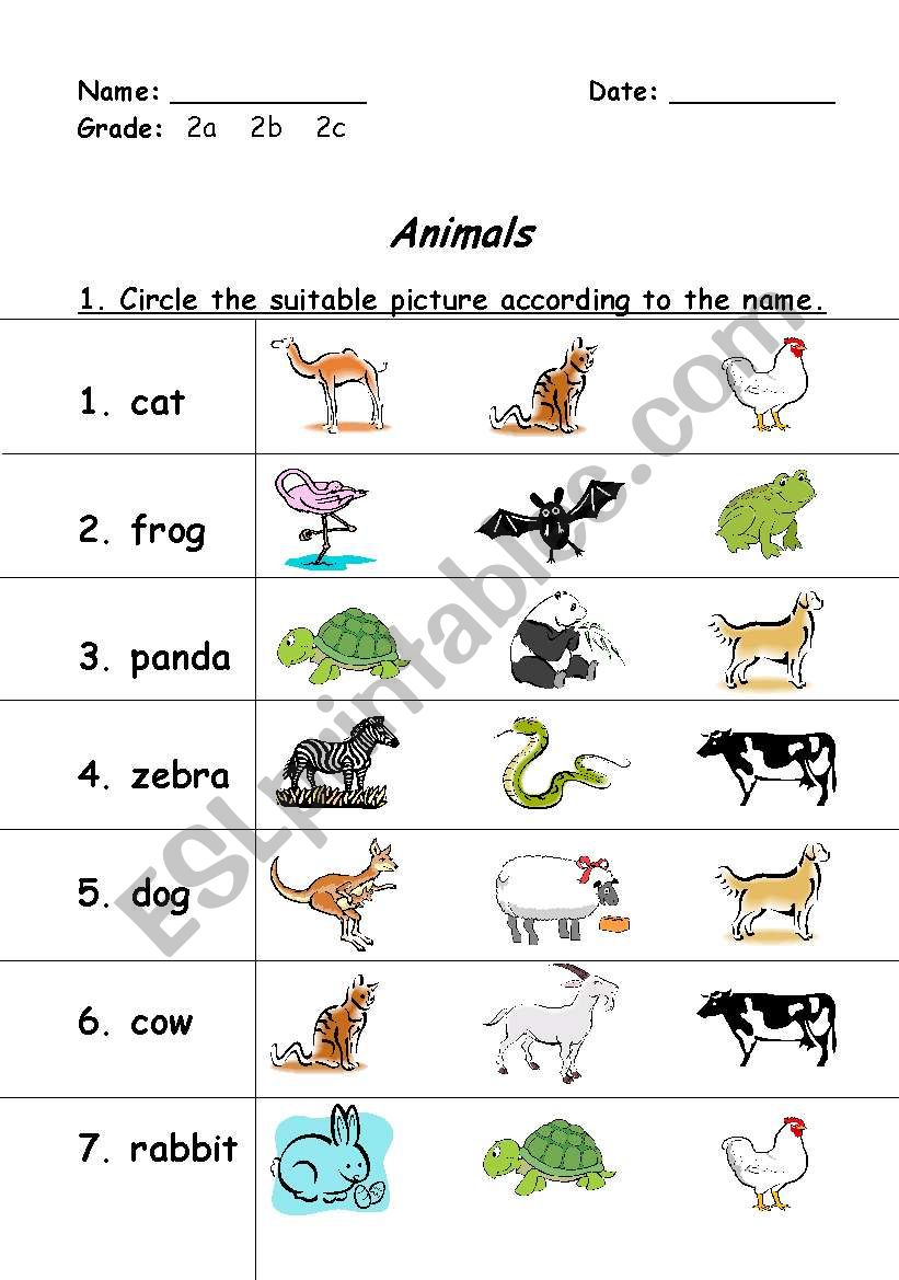 animals worksheet