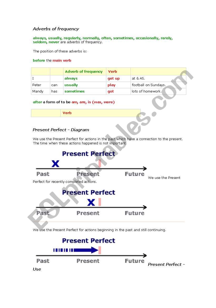 Adverbs of Frequency worksheet