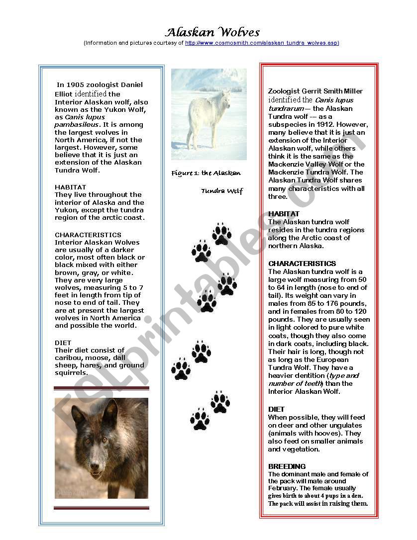 Alaskan Wolves worksheet