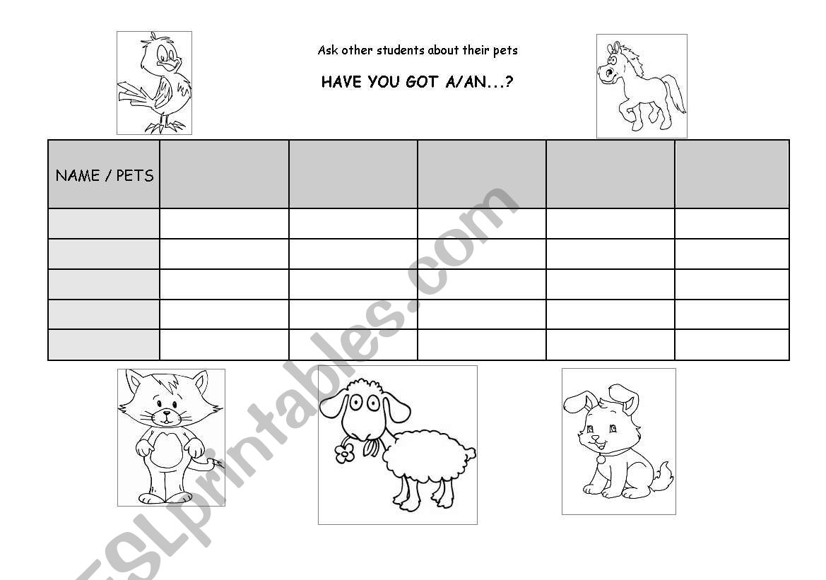 PETS SURVEY worksheet