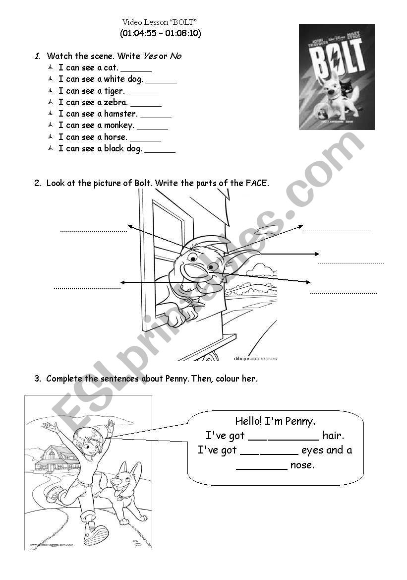 BOLT - Video Lesson worksheet