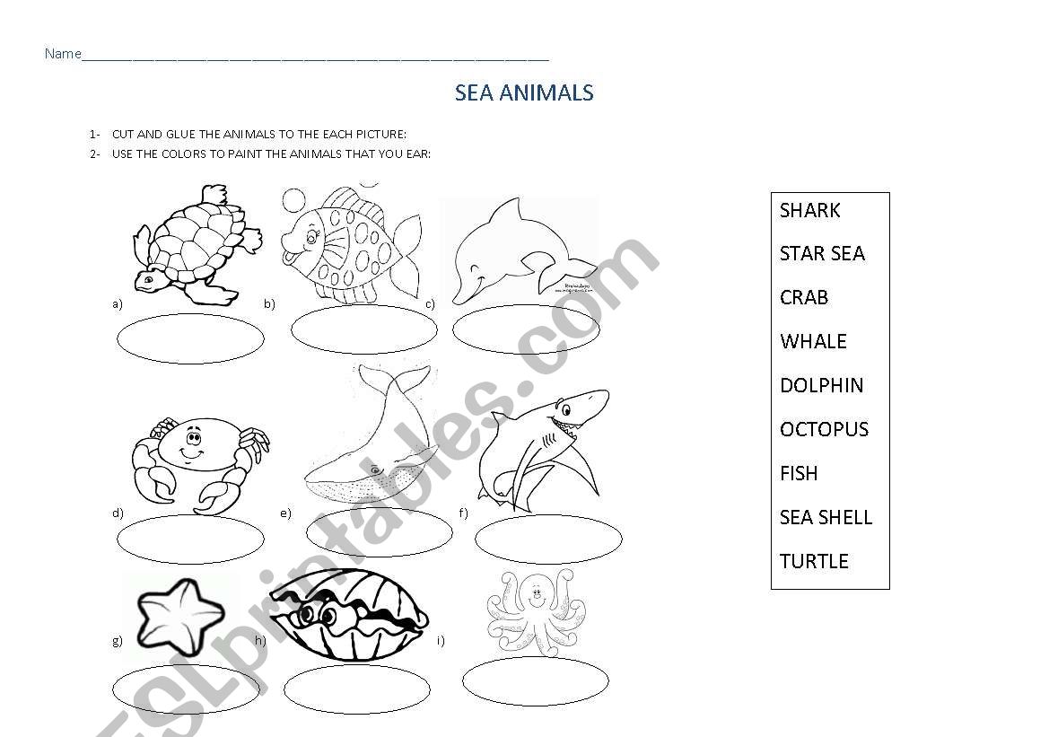 SEA ANIMALS worksheet