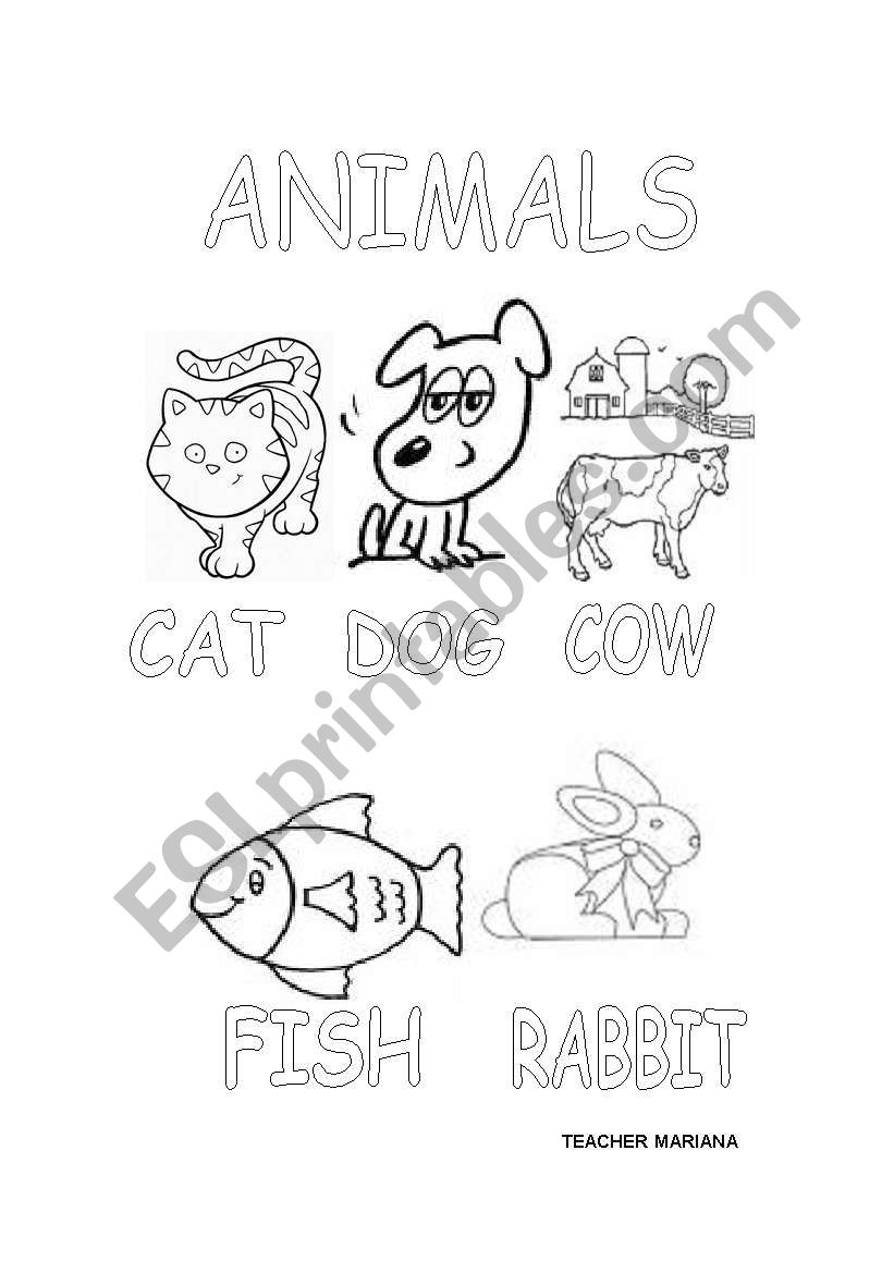 Animals worksheet