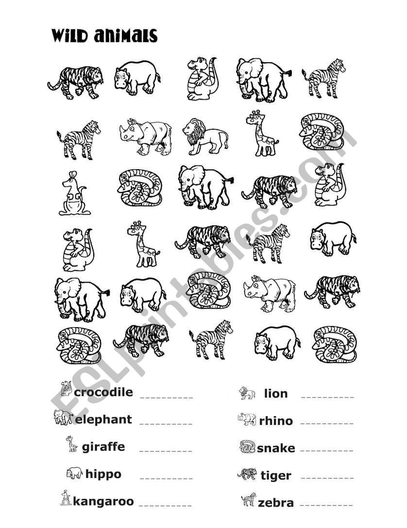 How Many Wild Animals worksheet