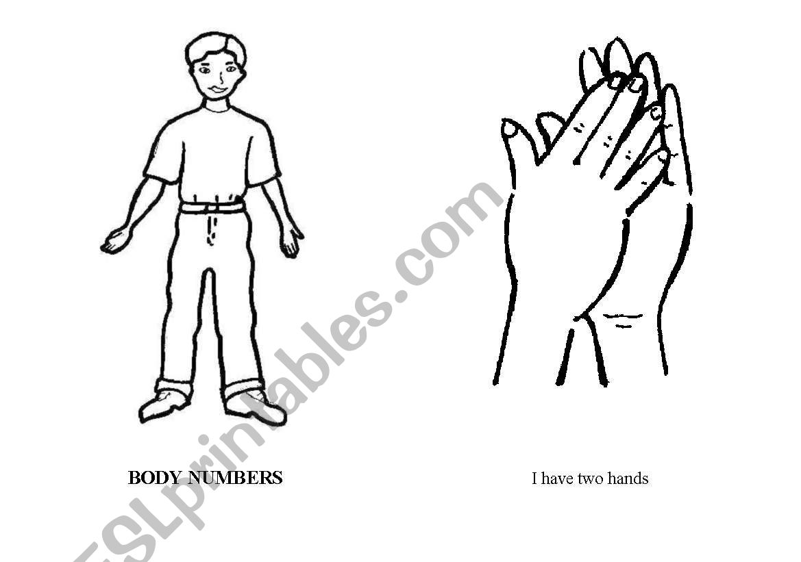Body Parts worksheet
