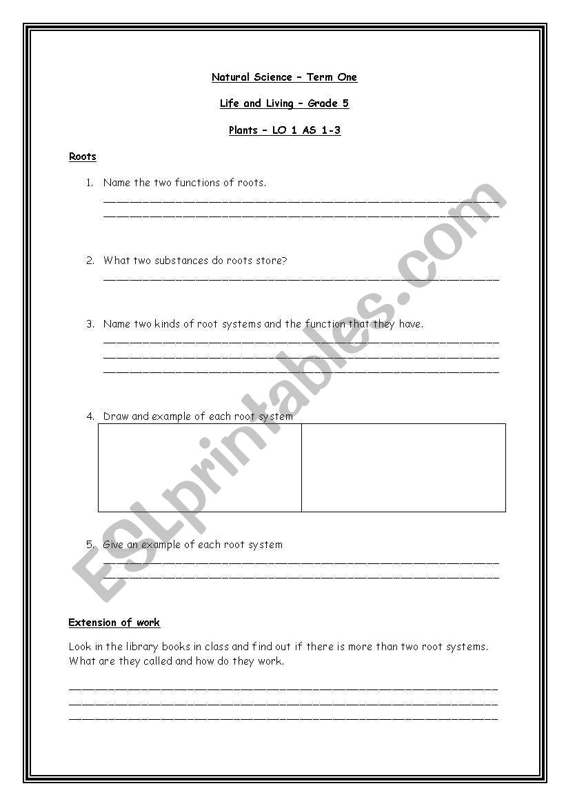 Plants worksheet