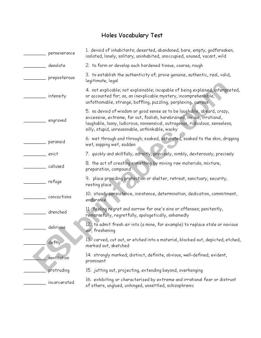 Holes Test worksheet