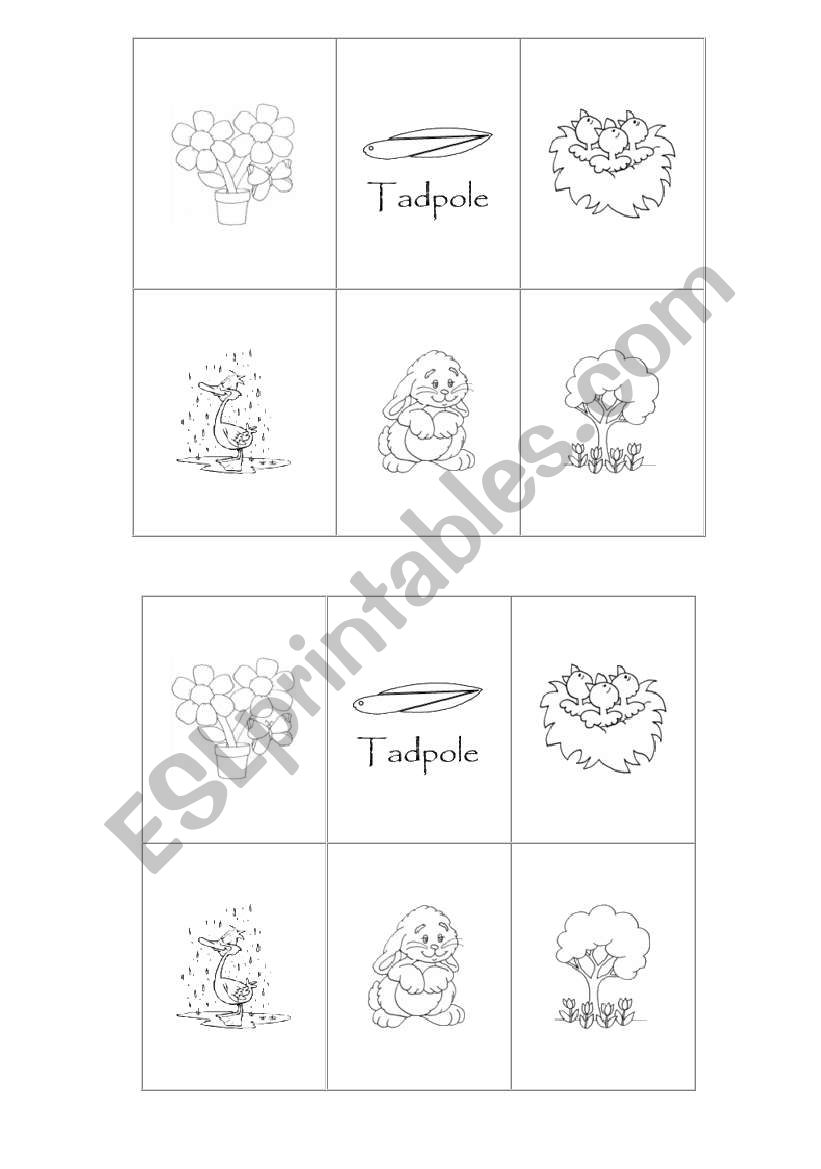 memory cards worksheet