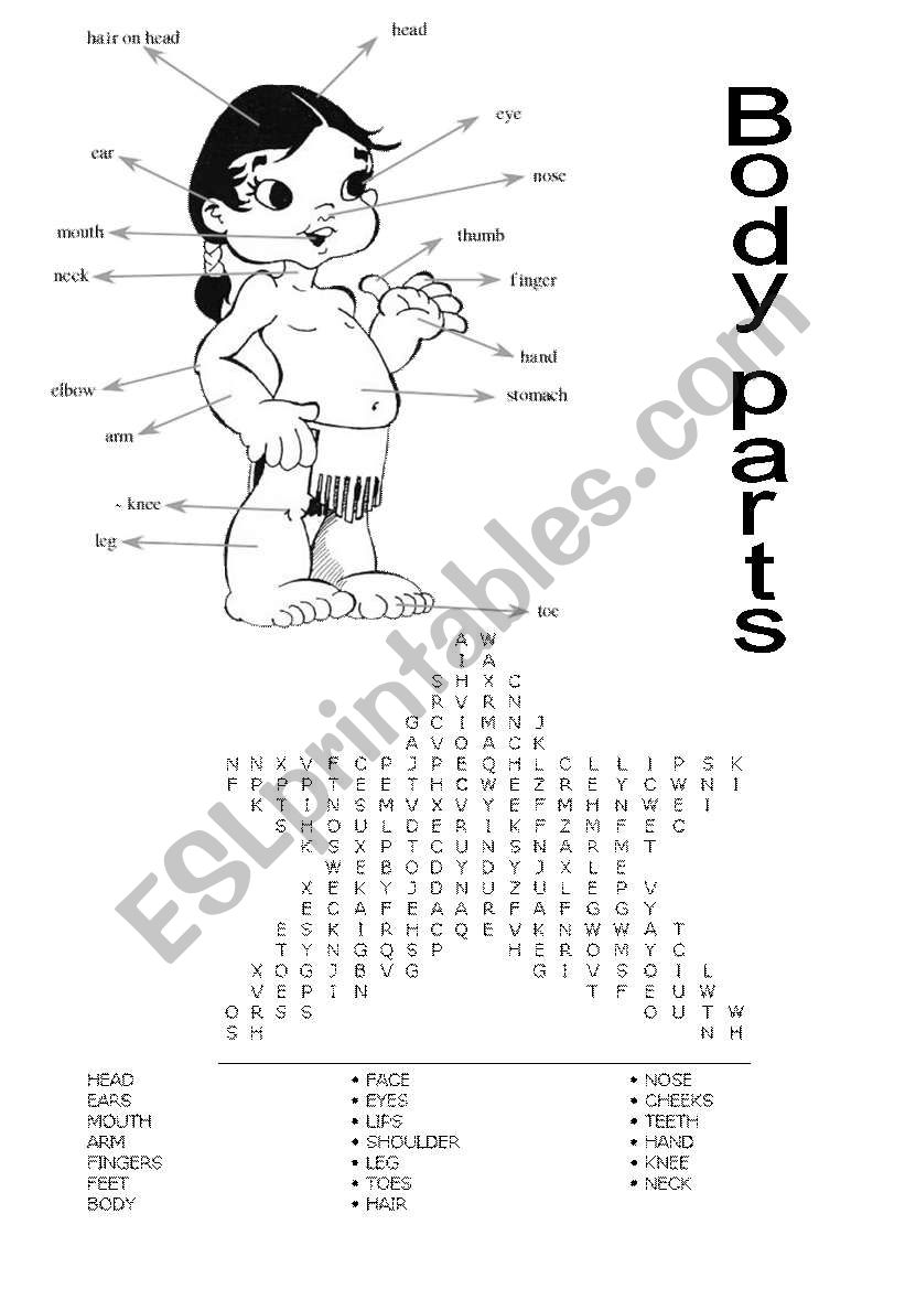 Body parts - Word Search worksheet