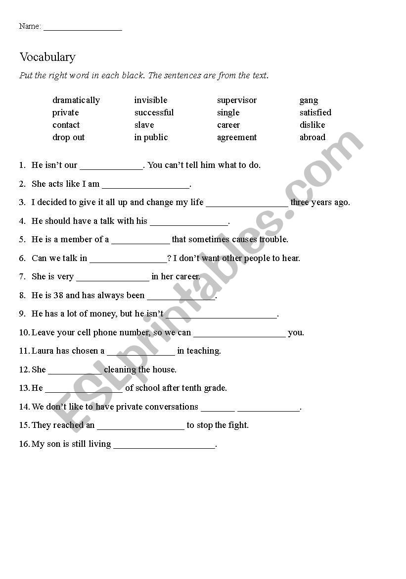 Vocabulary worksheet