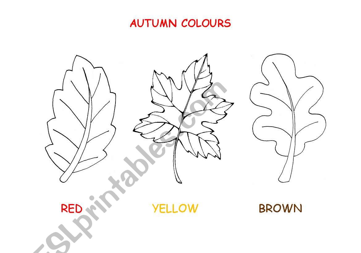 Autumn leaves worksheet