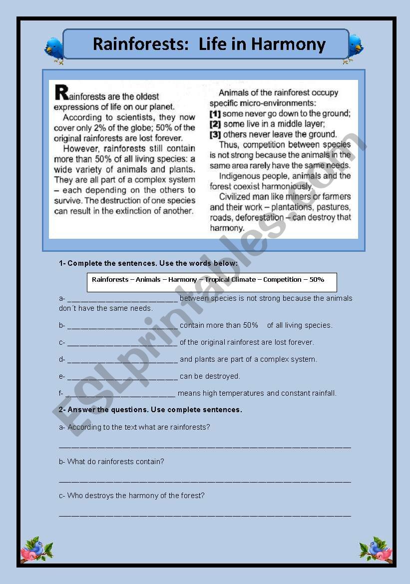 Rainforests worksheet