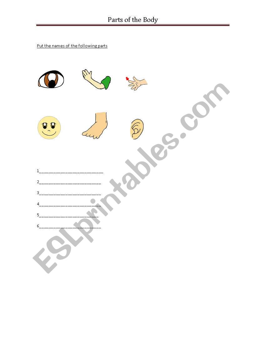 Parts of the Body worksheet